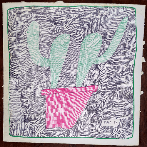 Cactus Comix - Jon Sarkin #046-CB