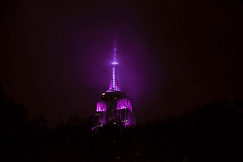 Purple Haze
