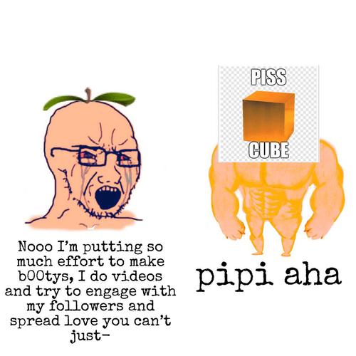 The Chad Piss Cube vs The Virgin b00ty, 2021