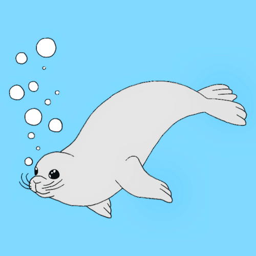Seal Pup