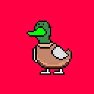 Duck #53