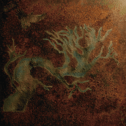 项目媒体占位符