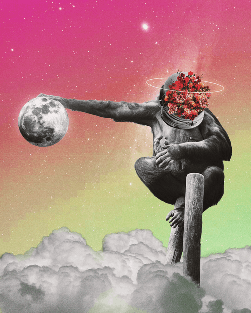 Space Sapiens