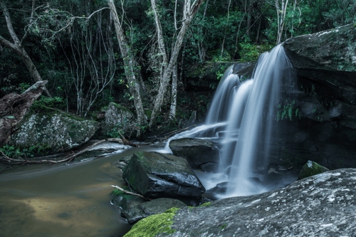 #63 - Middle Somersby Falls Forest