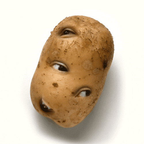 Growing Potatoes in Potato Grow Bags - Jennifer Rizzo