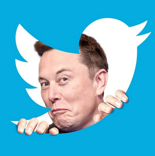 Free Elon