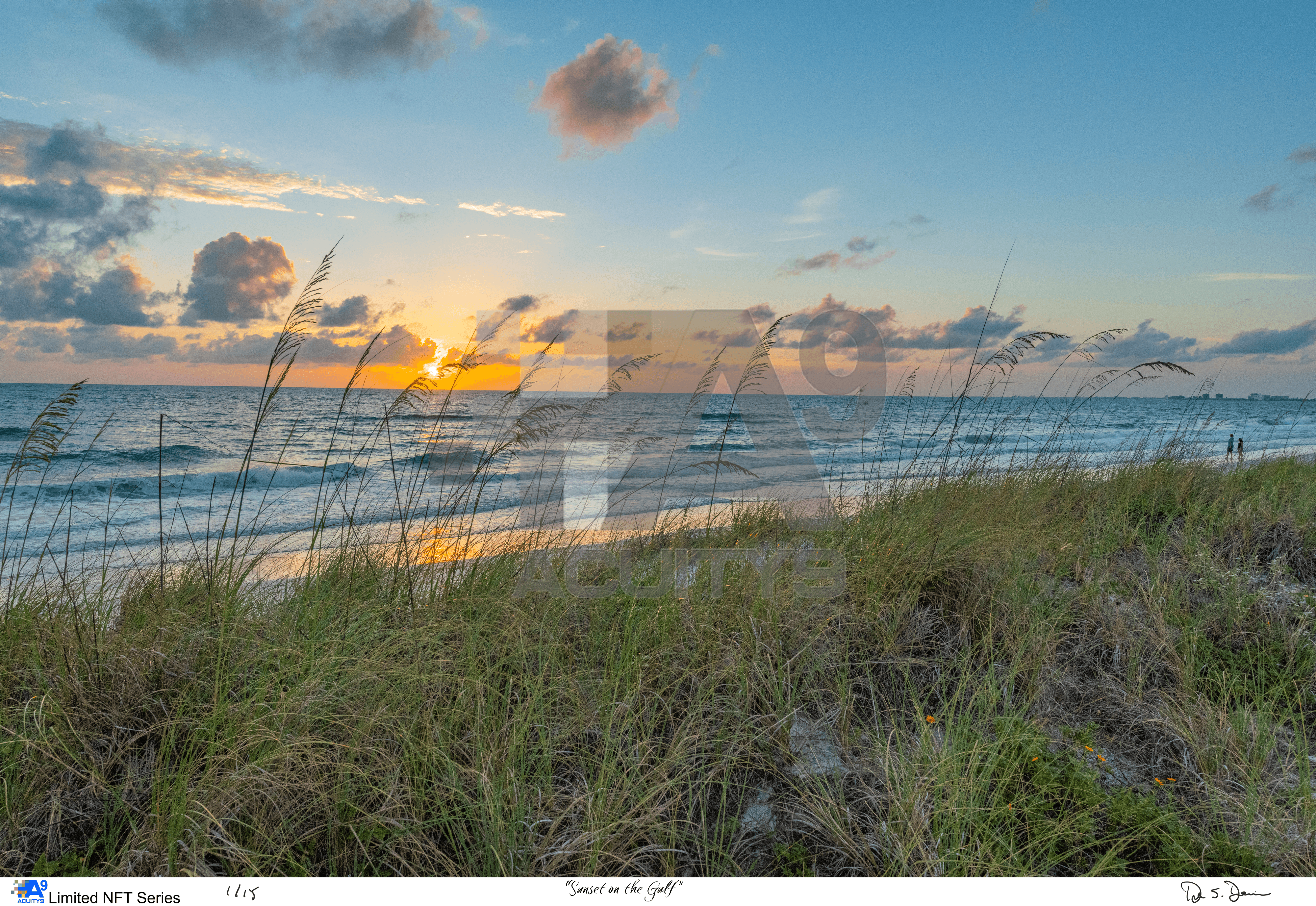 "Sunset on the Gulf"