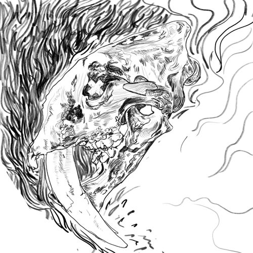 Pak Skull