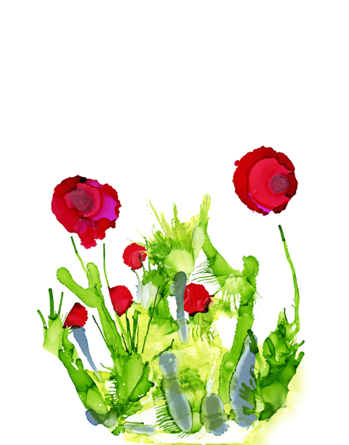 Poppies in Gentle Breeze