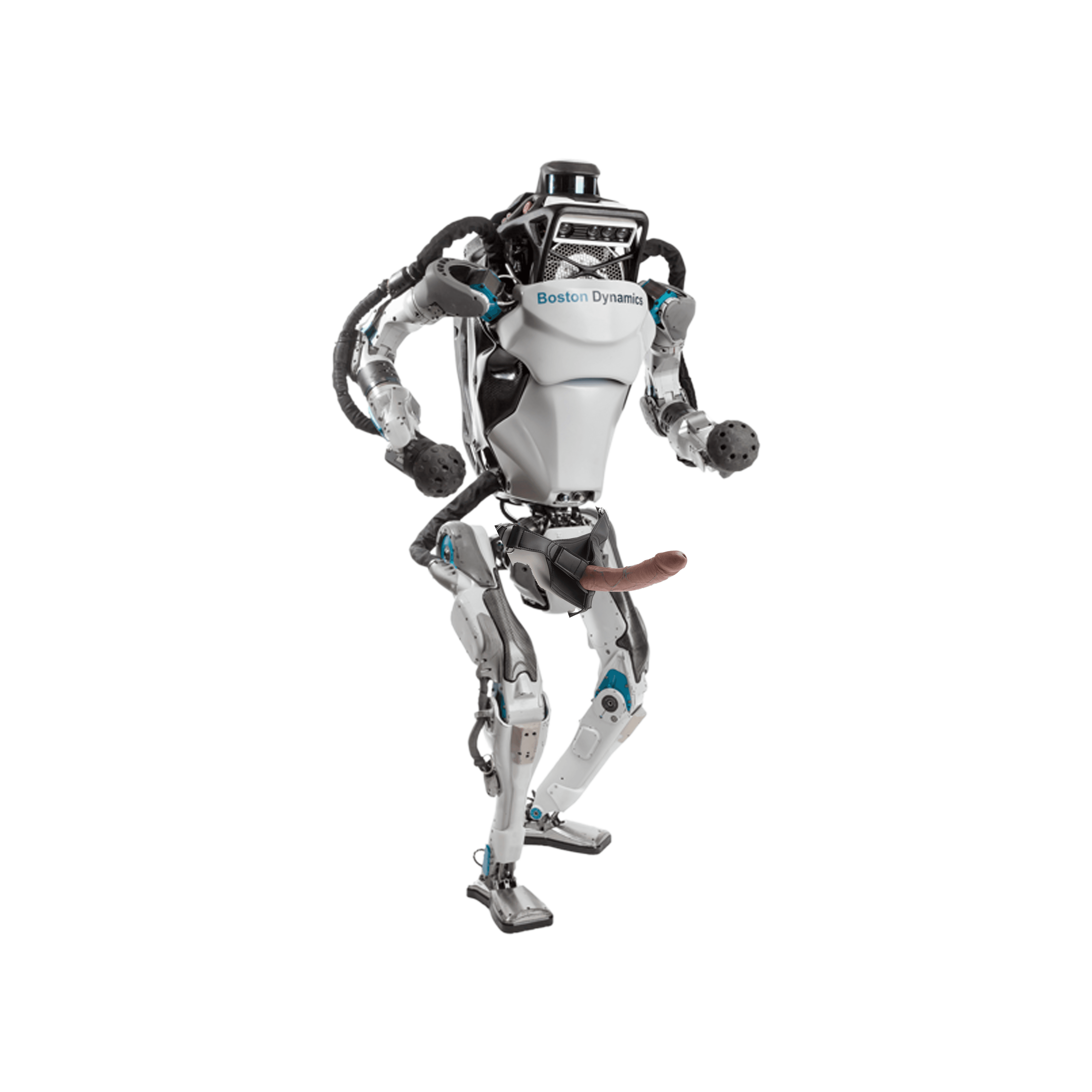 Boston Dynamics Robot with Strap-On Dildo, 2022