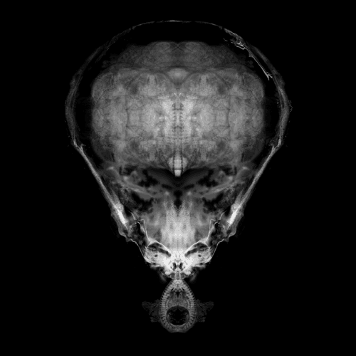 Alien Embryo - 214 of 2000