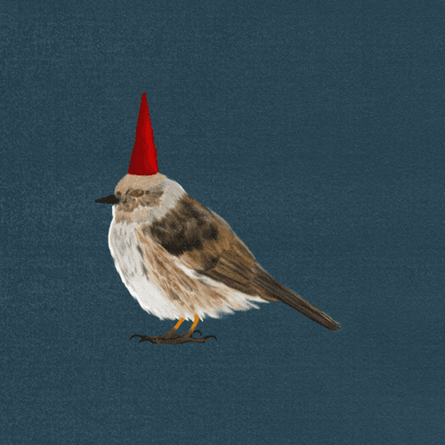 act one. folk bird.