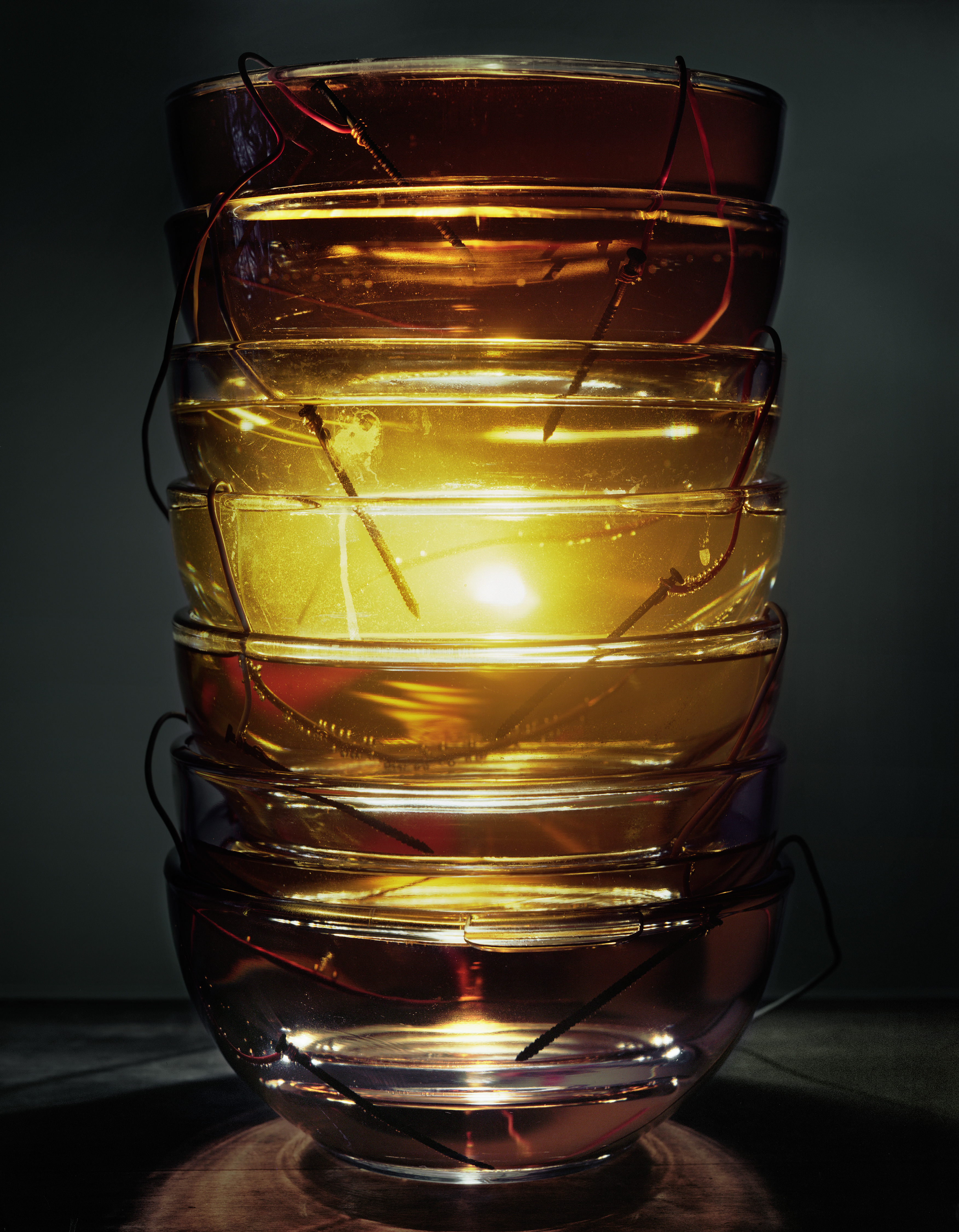 Back to Light - Vinegar Battery with Glass Bowls, 2014