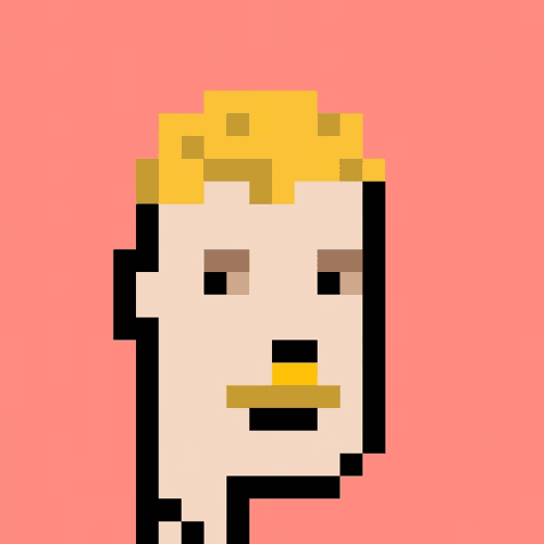 The Pixel Portraits