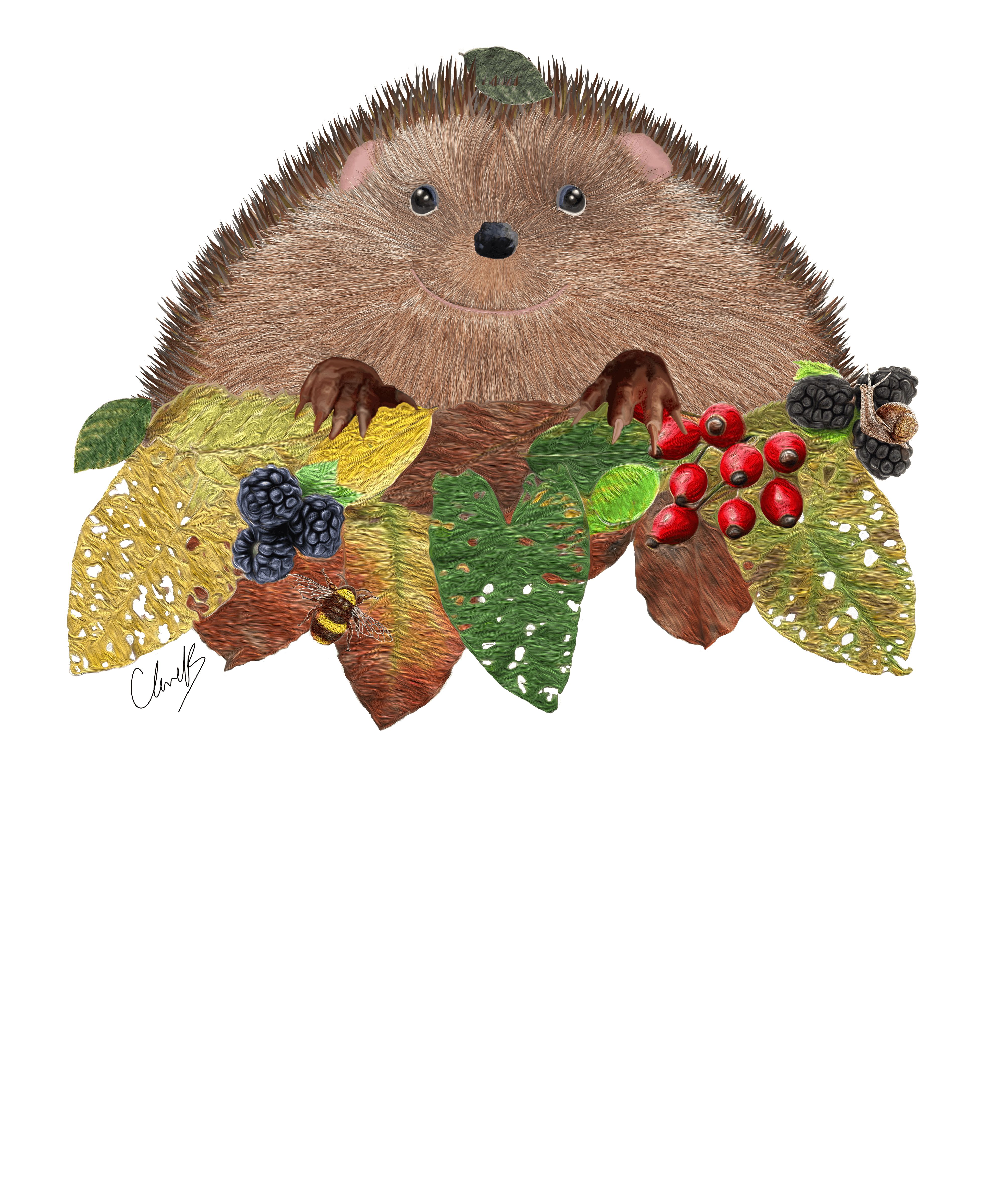 Hedgehog (Erinaceinae)