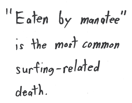 Low Quality Fact #353