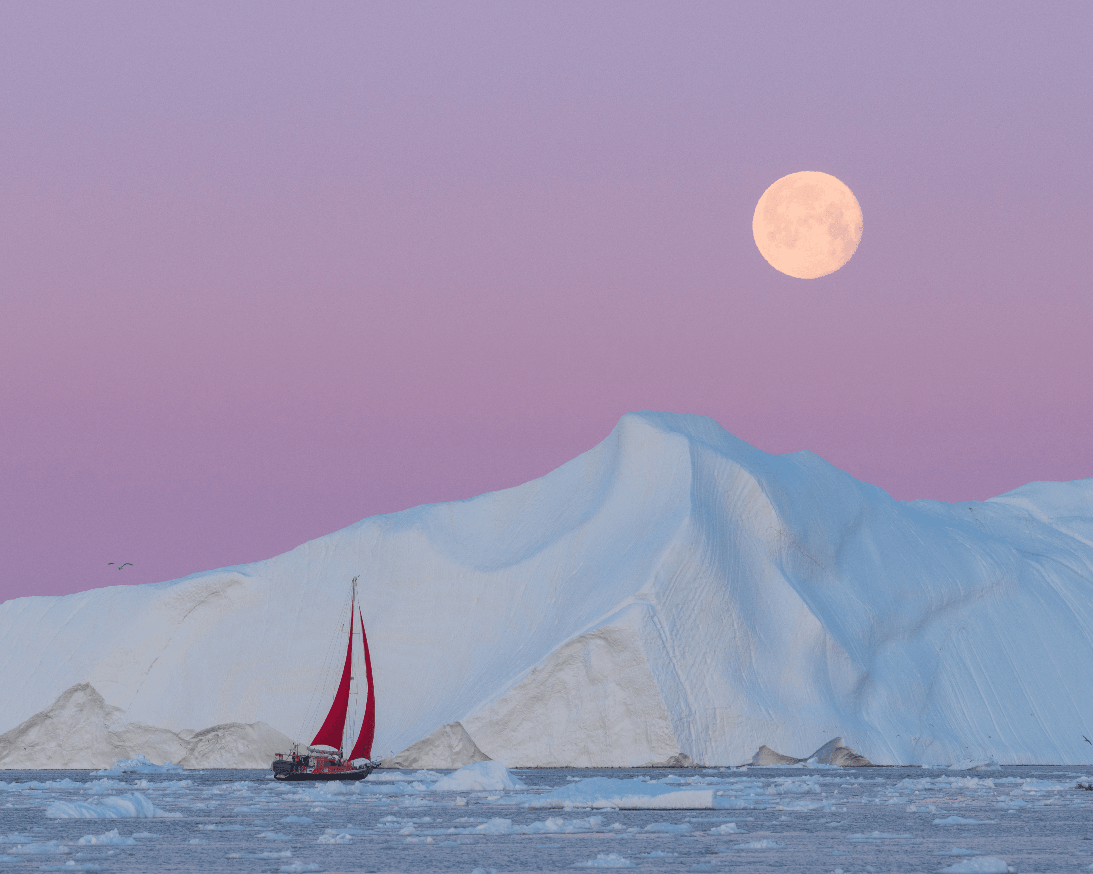  Red Sails #19
