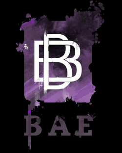 BAE collection image