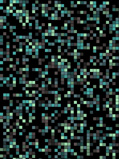 RNG//1629448026000