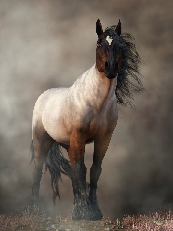 Horse Art