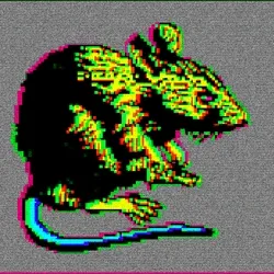 RATS V4 collection image