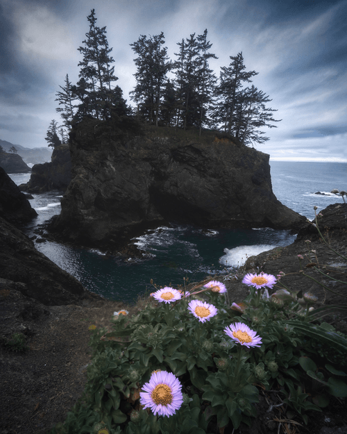 Beauty and the Beast