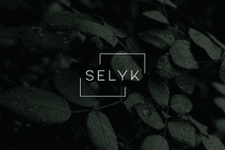 SELYKmusic collection image