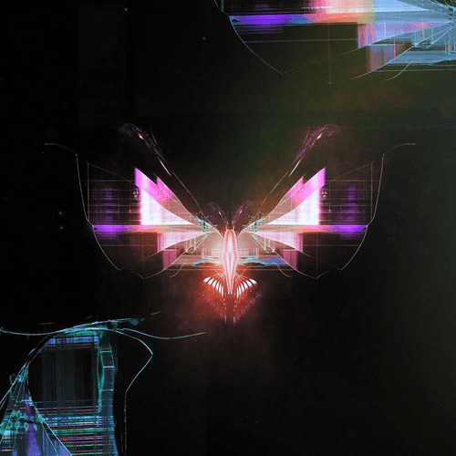 glitchéfly 03 // seeker