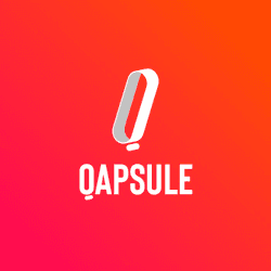 The Art of Qapsule collection image