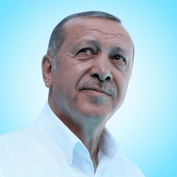 Recep Tayyip Erdogan Official collection image