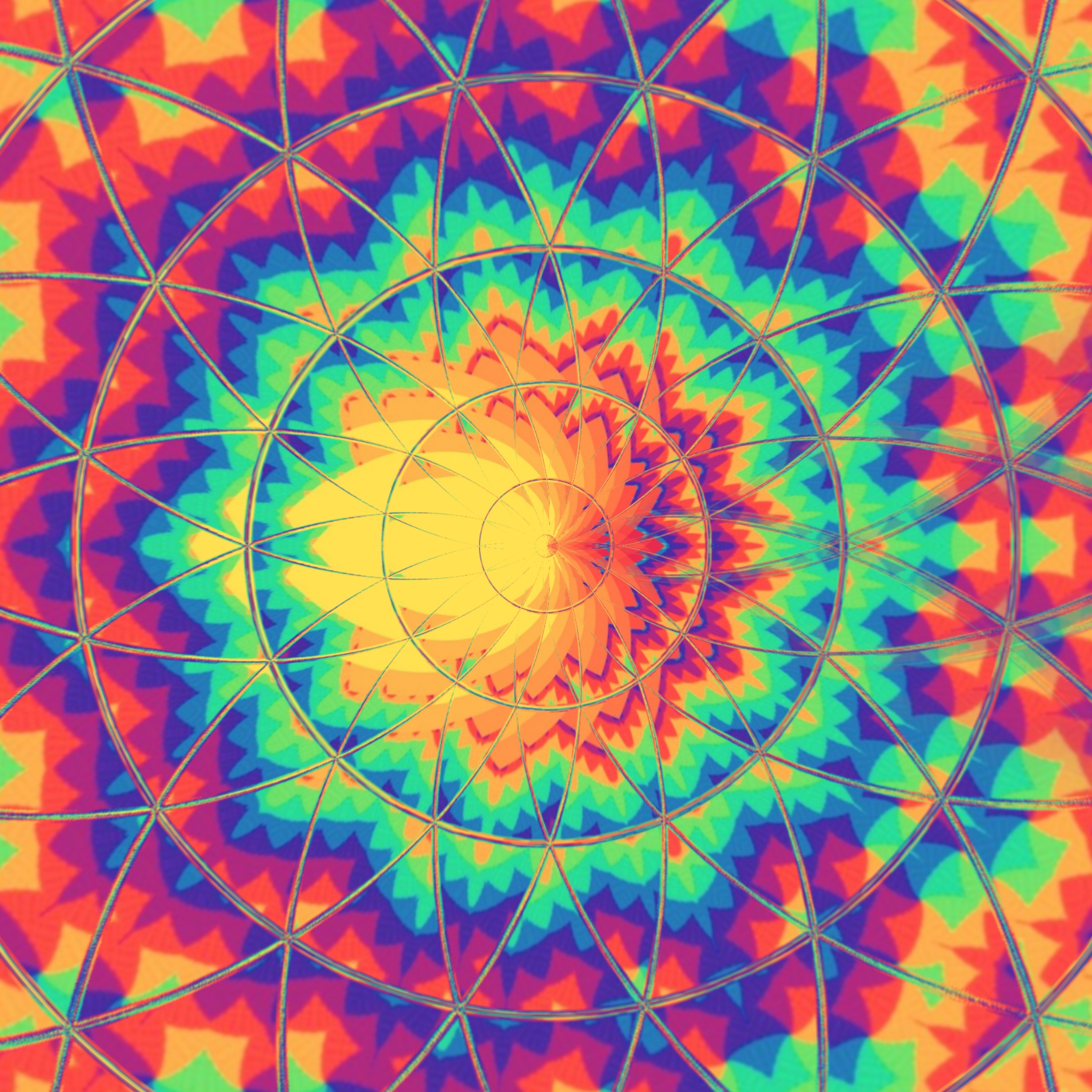Discover The Best Whole New World Gifs Ever Made - whzayu9