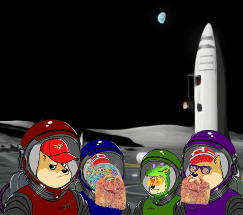 Ðogenauts On The Moon Base