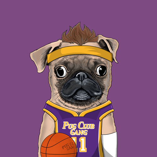Pug #0154