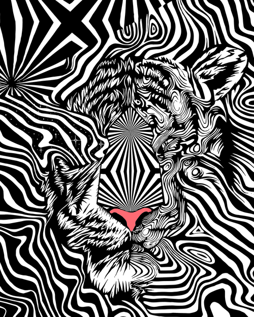 OP ART TIGER 3/4 