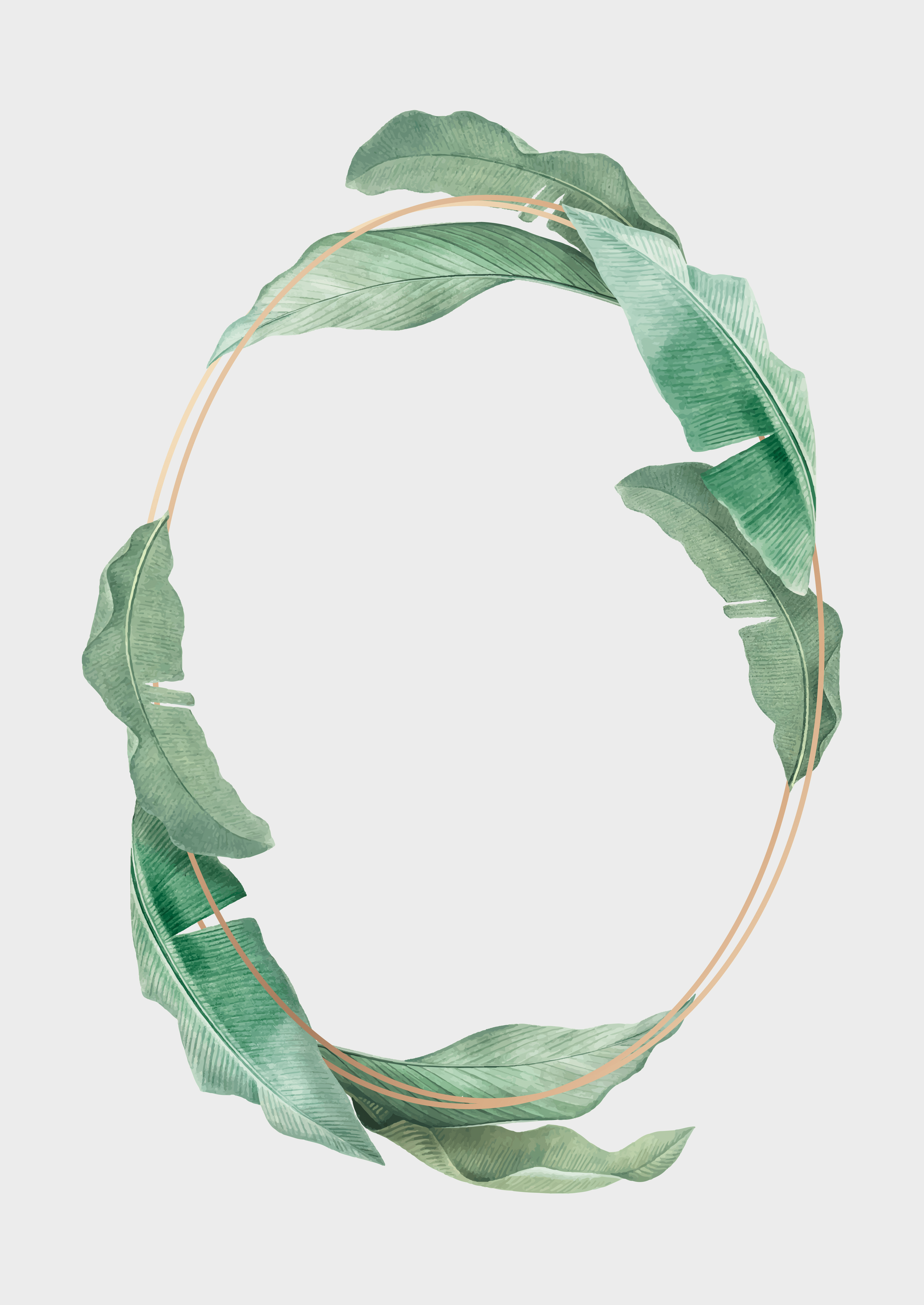 Collectible cards value Collection OpenSea