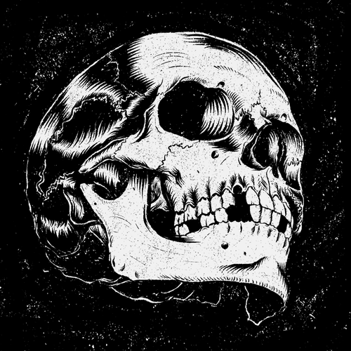 Skull 1