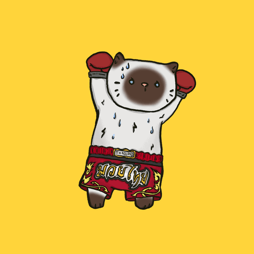 choco thai boxing