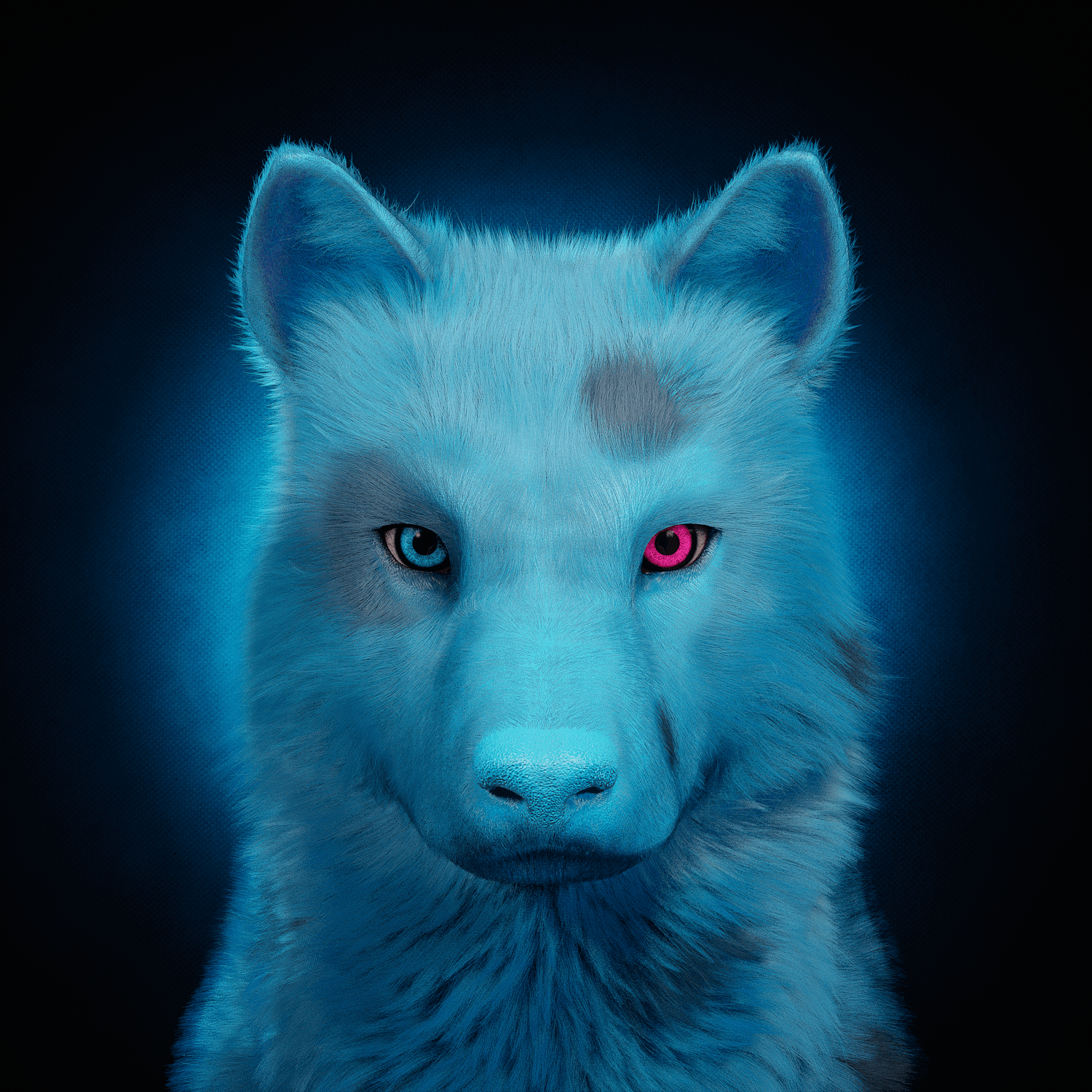 Wolf #131