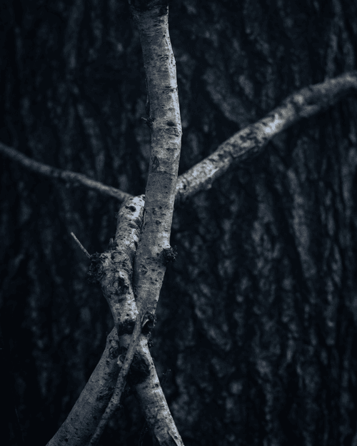 Elements #27 - Twist