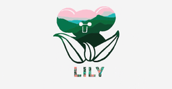 Lily & koala intro collection image