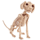 super Animal Skeleton