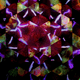 23 KALEIDOSCOPE PHOTOGRAPHY - old