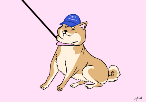 Special Shiba