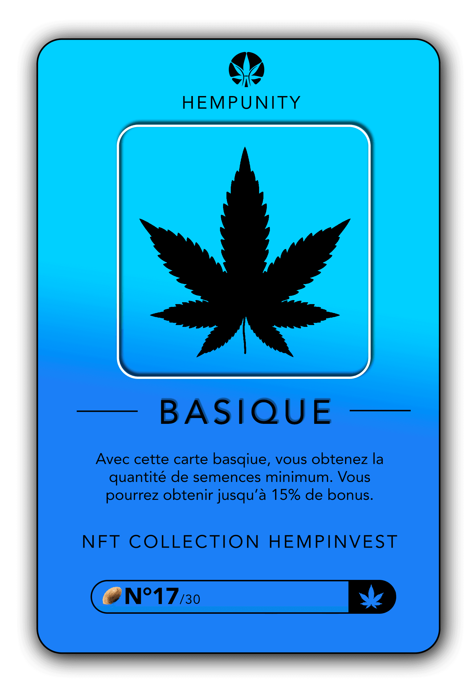 BASIQUE #17