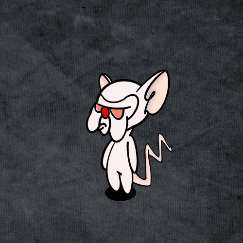 SBDK #213