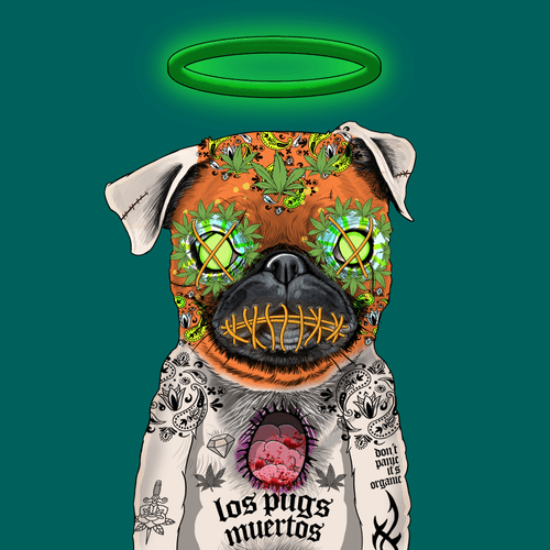 Pug #0136