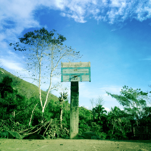 Basketball Landscapes