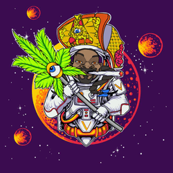 Honorary VeFam Space Club Astronauts collection image