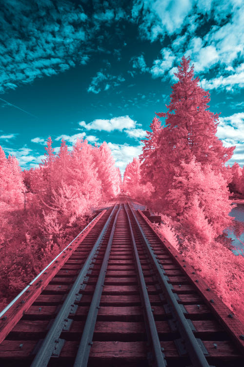 #9. Fairytale Express II