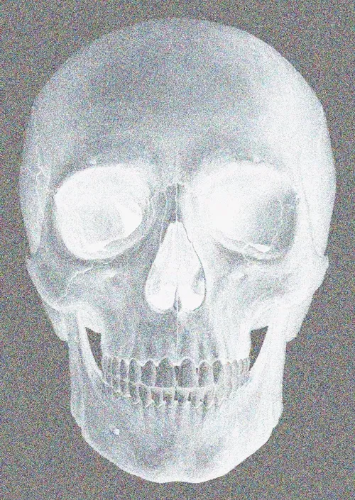 Memento Mori #140